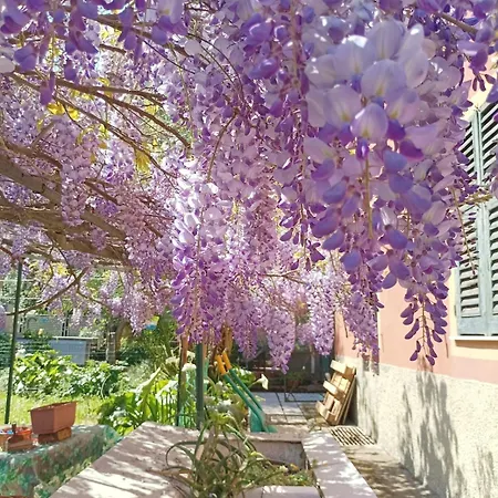 Villino Molinari * Janov